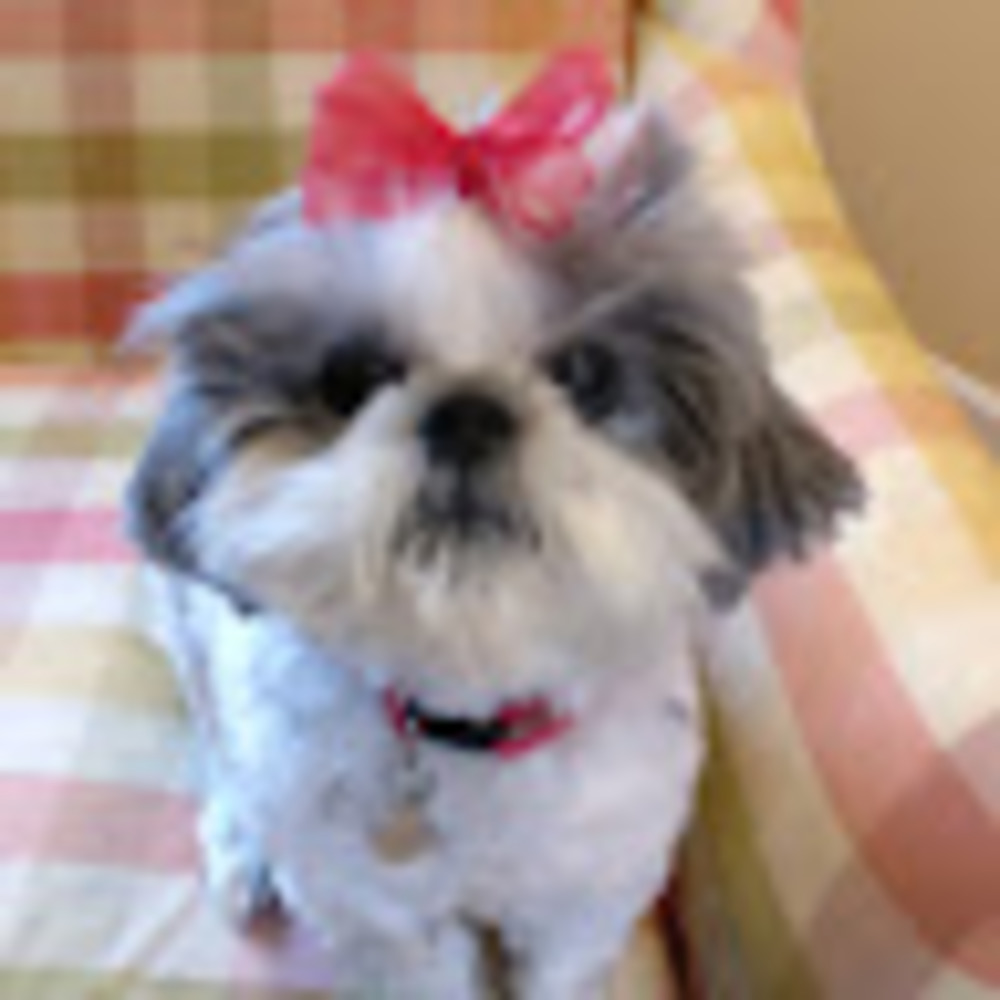 Meet your Posher, Joanne